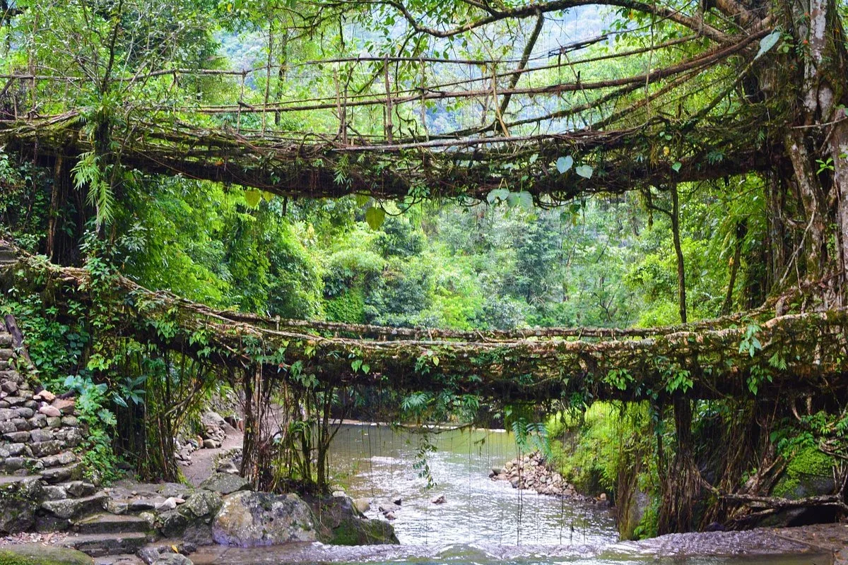 Assam Meghalaya Tour Package – 7 Nights 8 Days