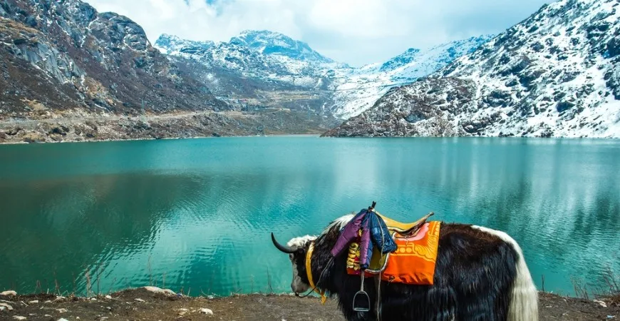 Sikkim Hills Getaway 7N/8D