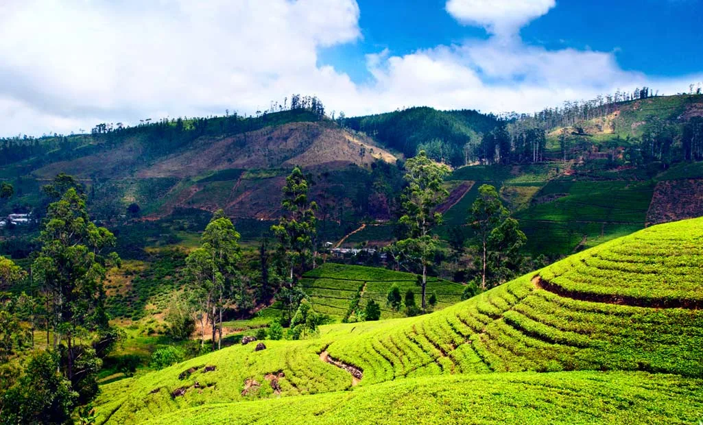 Assam Kaziranga Meghalaya Tour Package – 6 Nights 7 Days